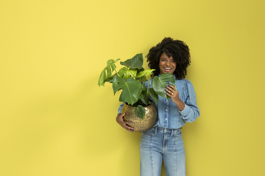 8 plantfulness najaarstips | plant een lach, rust, energie en kleur in jouw leven