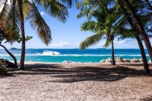 Tropisch strand om heen te reizen