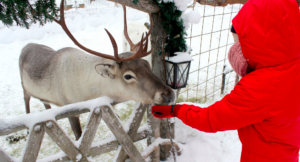 Lapland: Frozen in het echt