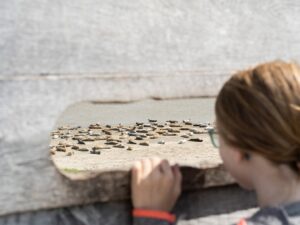 Wandelen met kinderen