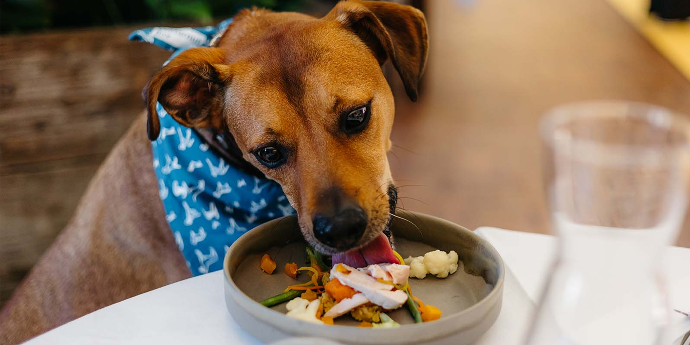 Fabulous Mama Butternut Bistro