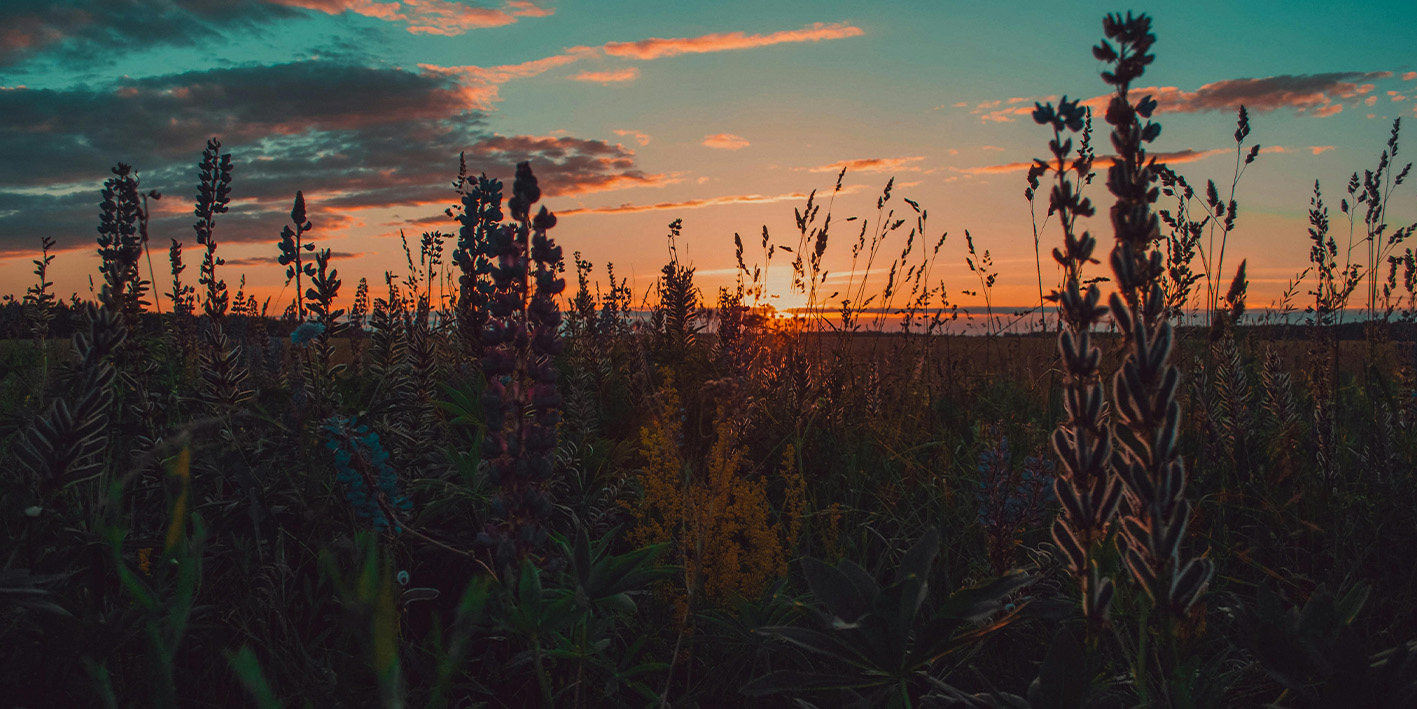 fabulous mama - sneller donker - gezin