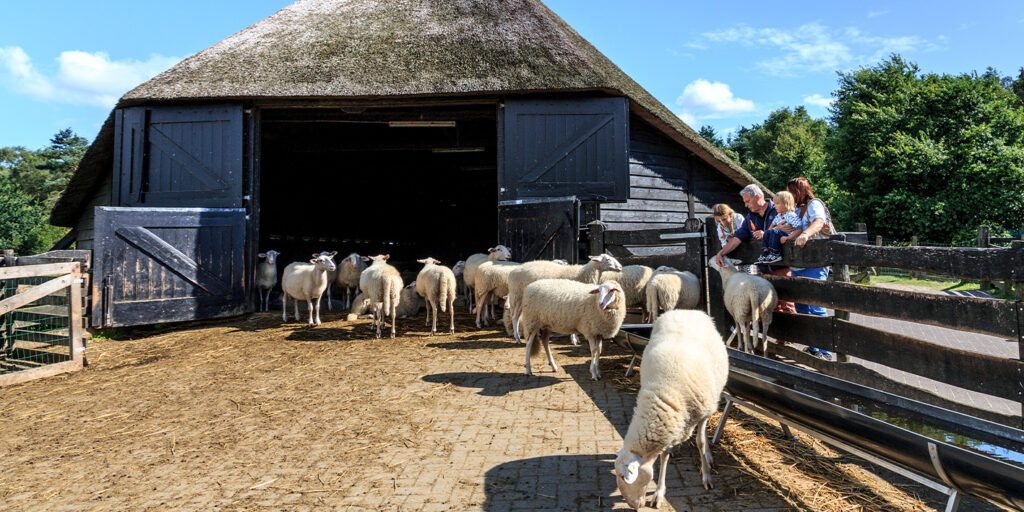 Fabulous Mama - uitjes kinderen - schapen