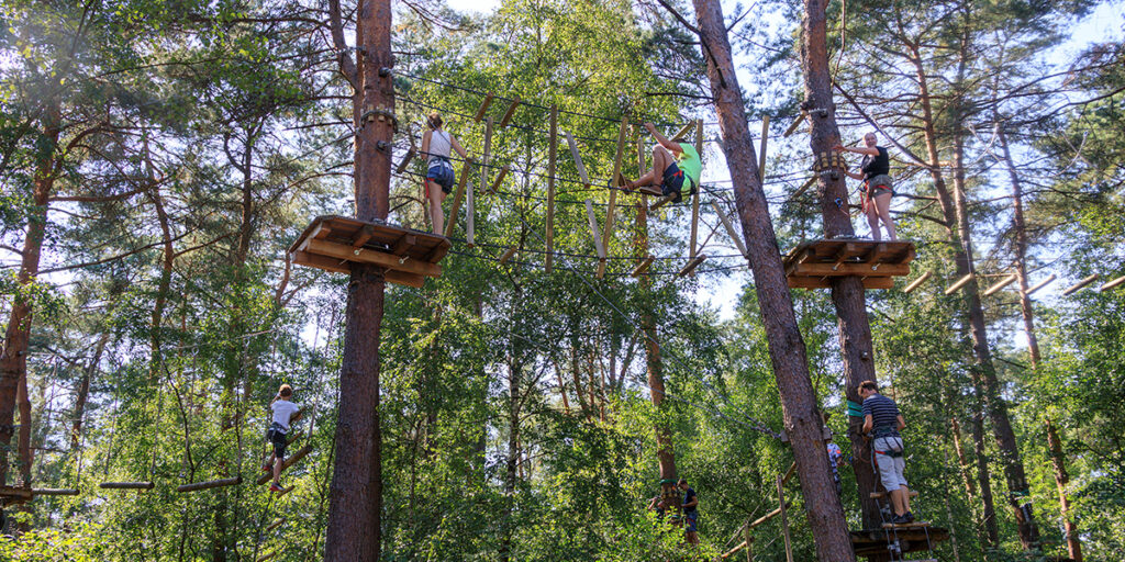 Fabulous Mama Veluwe