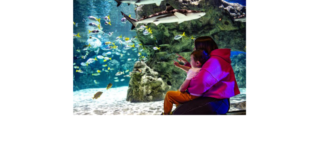 Fabulous Mama - SEALIFE